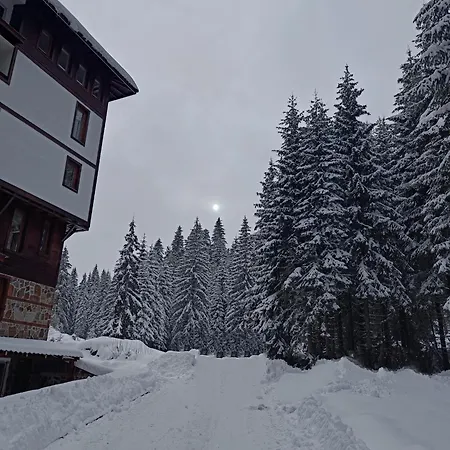 студио орфееви скали Apartman