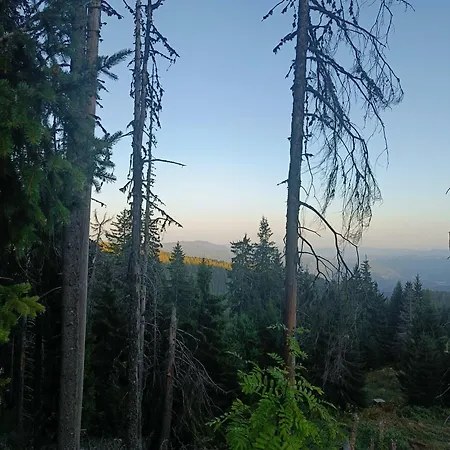 Appartamento студио орфееви скали Pamporovo