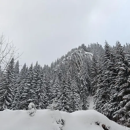 студио орфееви скали Pamporovo