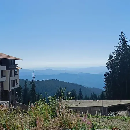 студио орфееви скали *