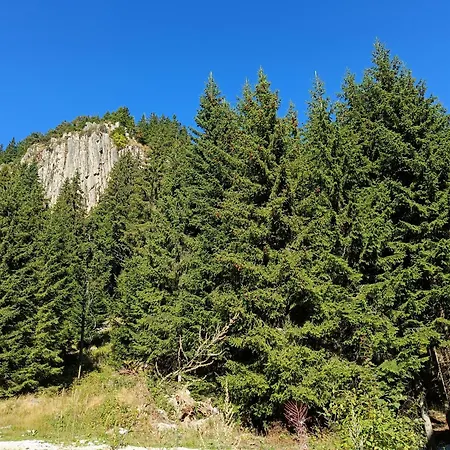 студио орфееви скали *