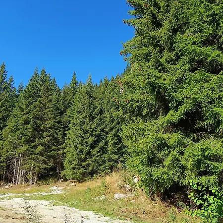 Apartman студио орфееви скали Pamporovo