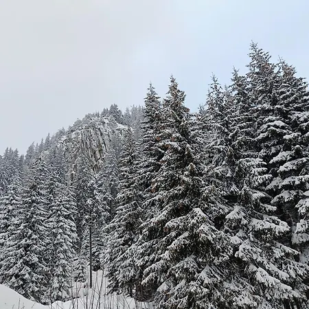 Apartman студио орфееви скали Pamporovo