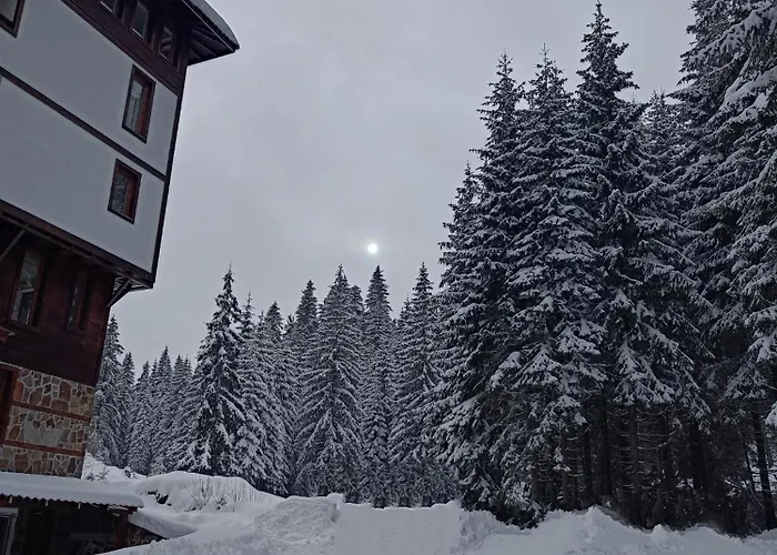 студио орфееви скали شقة