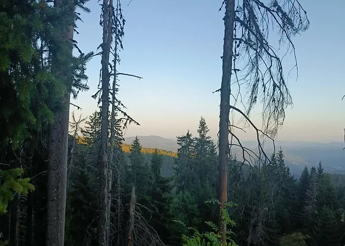 Apartament студио орфееви скали Pamporowo