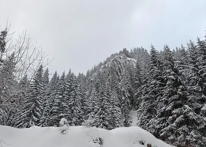 студио орфееви скали Pamporowo