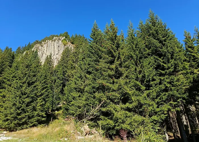 студио орфееви скали *