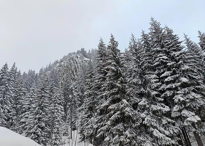 شقة студио орфееви скали بامبوروفو